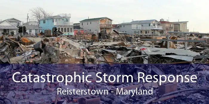 Catastrophic Storm Response Reisterstown - Maryland