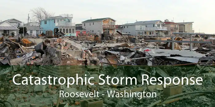 Catastrophic Storm Response Roosevelt - Washington