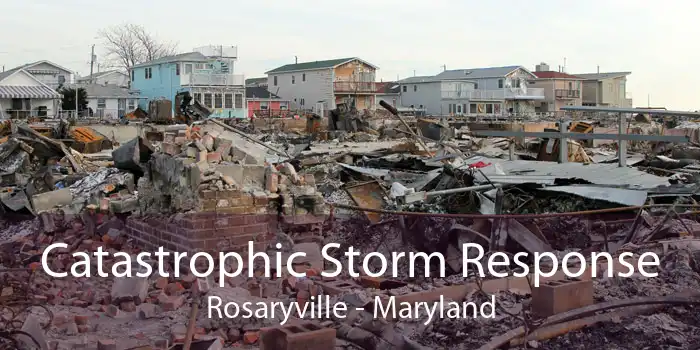 Catastrophic Storm Response Rosaryville - Maryland