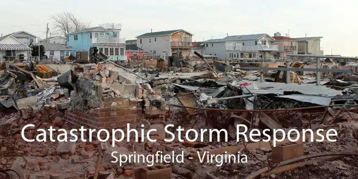 Catastrophic Storm Response Springfield - Virginia