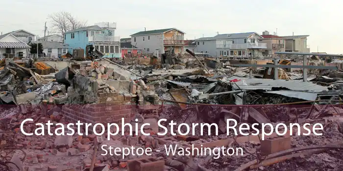 Catastrophic Storm Response Steptoe - Washington