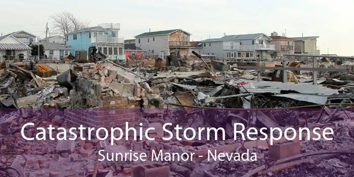 Catastrophic Storm Response Sunrise Manor - Nevada