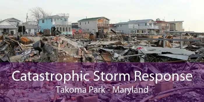 Catastrophic Storm Response Takoma Park - Maryland