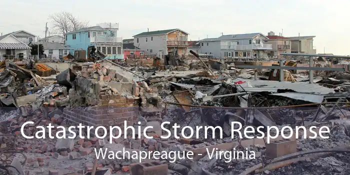 Catastrophic Storm Response Wachapreague - Virginia