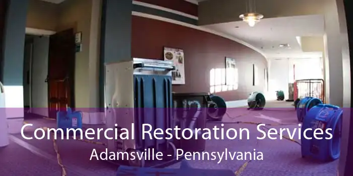 Commercial Restoration Services Adamsville - Pennsylvania