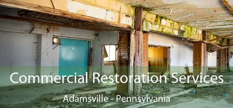 Commercial Restoration Services Adamsville - Pennsylvania