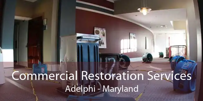 Commercial Restoration Services Adelphi - Maryland