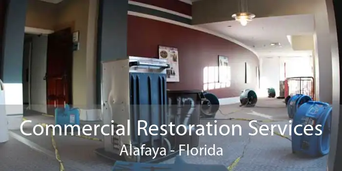 Commercial Restoration Services Alafaya - Florida