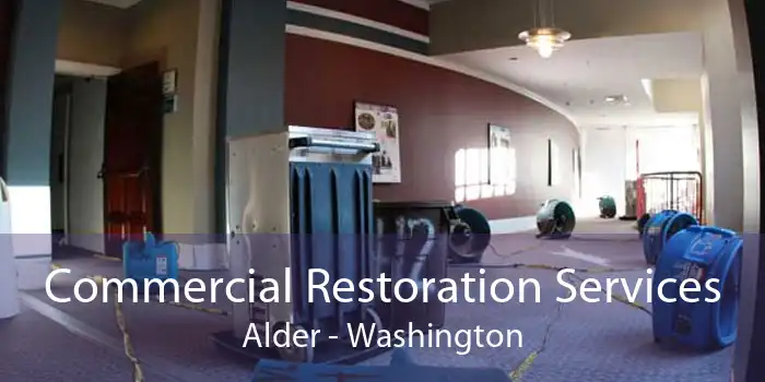 Commercial Restoration Services Alder - Washington