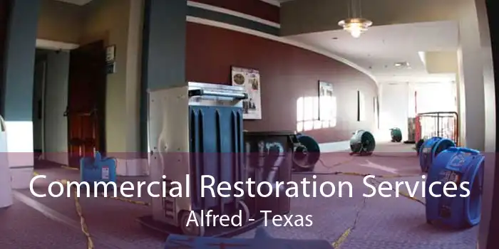 Commercial Restoration Services Alfred - Texas