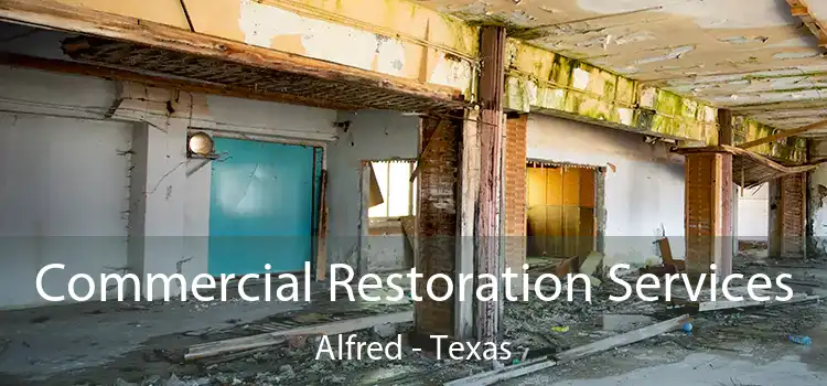 Commercial Restoration Services Alfred - Texas