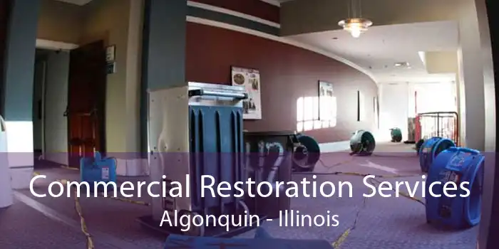 Commercial Restoration Services Algonquin - Illinois