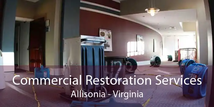 Commercial Restoration Services Allisonia - Virginia