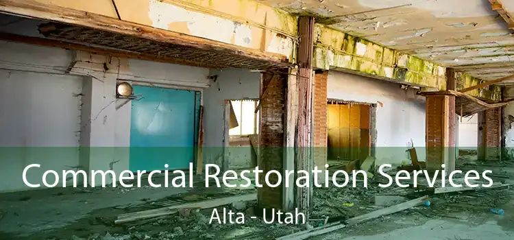 Commercial Restoration Services Alta - Utah