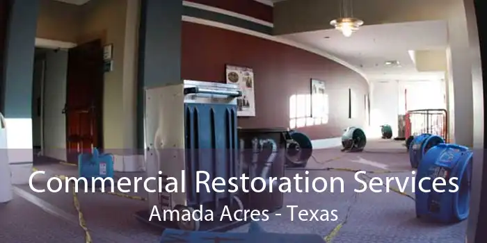 Commercial Restoration Services Amada Acres - Texas
