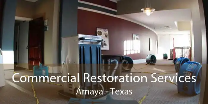 Commercial Restoration Services Amaya - Texas
