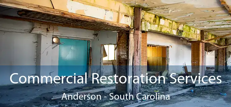 Commercial Restoration Services Anderson - South Carolina