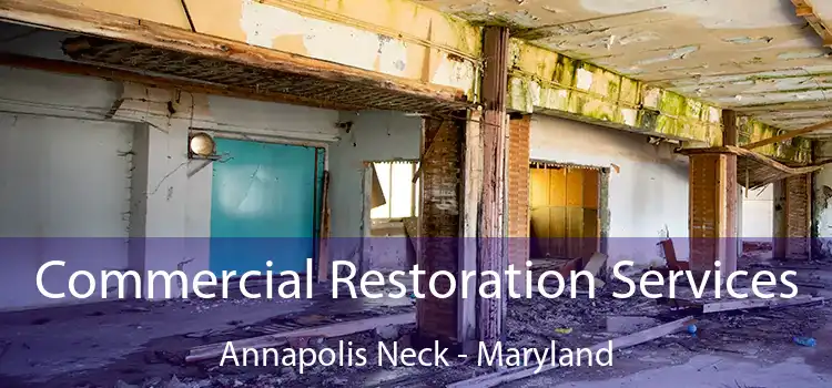 Commercial Restoration Services Annapolis Neck - Maryland