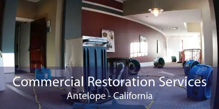 Commercial Restoration Services Antelope - California