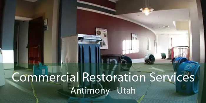 Commercial Restoration Services Antimony - Utah