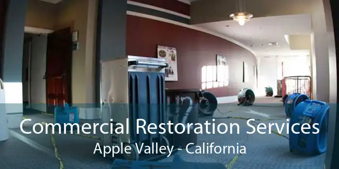 Commercial Restoration Services Apple Valley - California