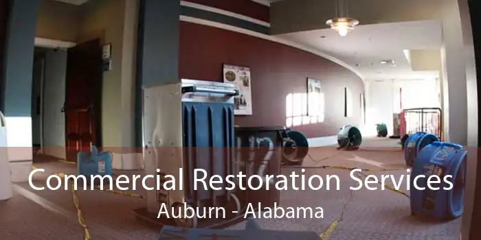 Commercial Restoration Services Auburn - Alabama