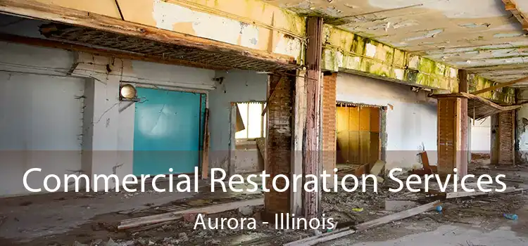 Commercial Restoration Services Aurora - Illinois