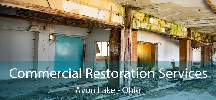 Commercial Restoration Services Avon Lake - Ohio