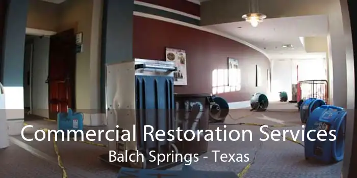 Commercial Restoration Services Balch Springs - Texas