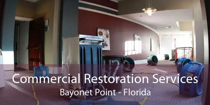 Commercial Restoration Services Bayonet Point - Florida