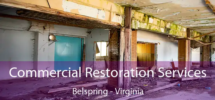 Commercial Restoration Services Belspring - Virginia