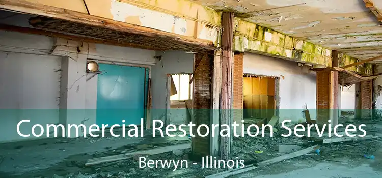 Commercial Restoration Services Berwyn - Illinois