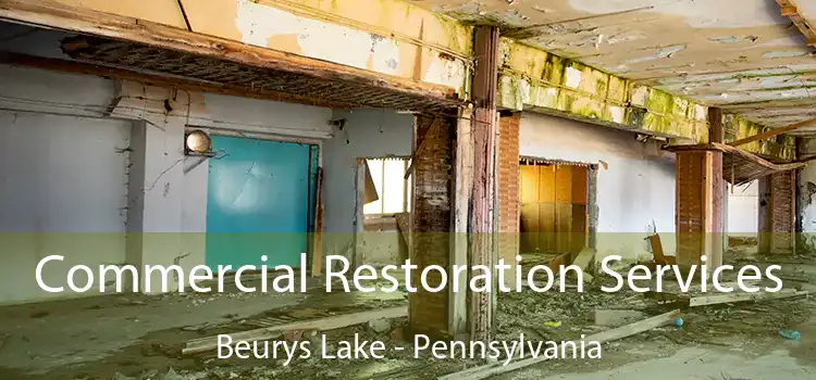 Commercial Restoration Services Beurys Lake - Pennsylvania