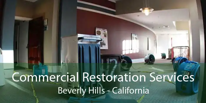 Commercial Restoration Services Beverly Hills - California
