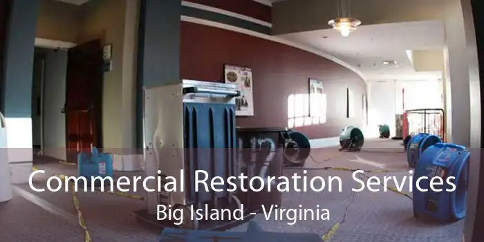 Commercial Restoration Services Big Island - Virginia