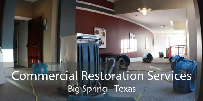 Commercial Restoration Services Big Spring - Texas