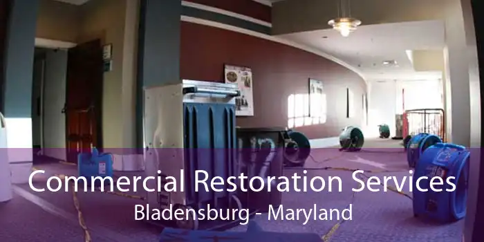 Commercial Restoration Services Bladensburg - Maryland