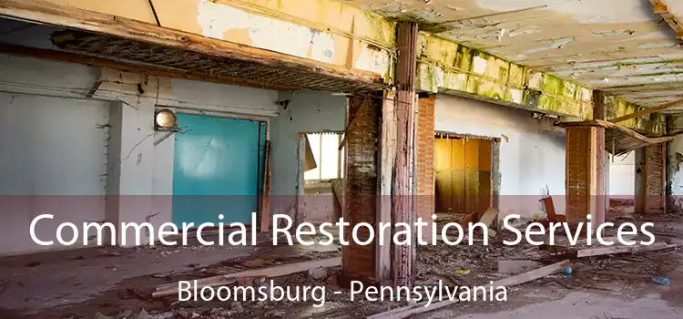 Commercial Restoration Services Bloomsburg - Pennsylvania