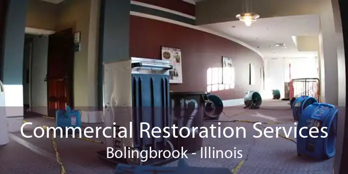 Commercial Restoration Services Bolingbrook - Illinois