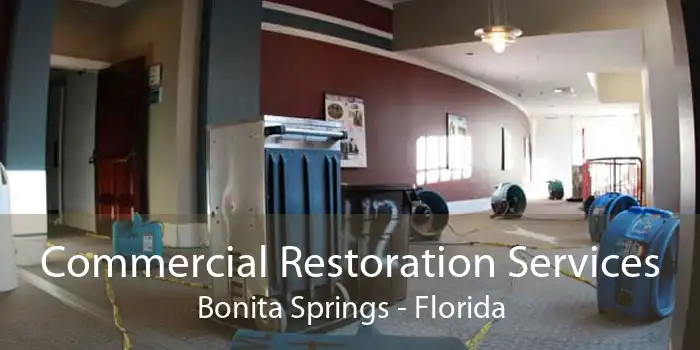 Commercial Restoration Services Bonita Springs - Florida