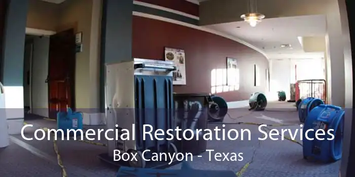 Commercial Restoration Services Box Canyon - Texas
