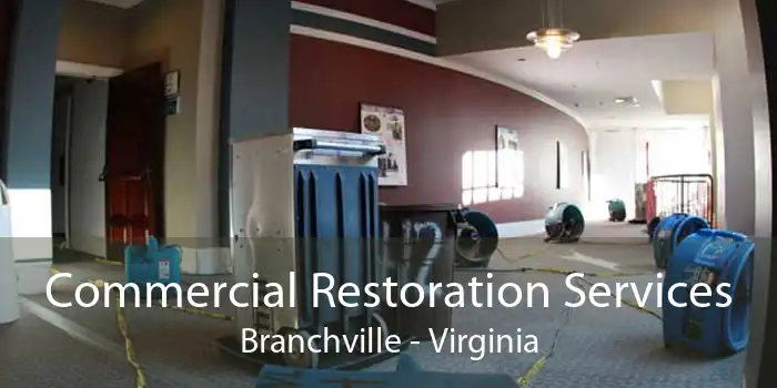 Commercial Restoration Services Branchville - Virginia