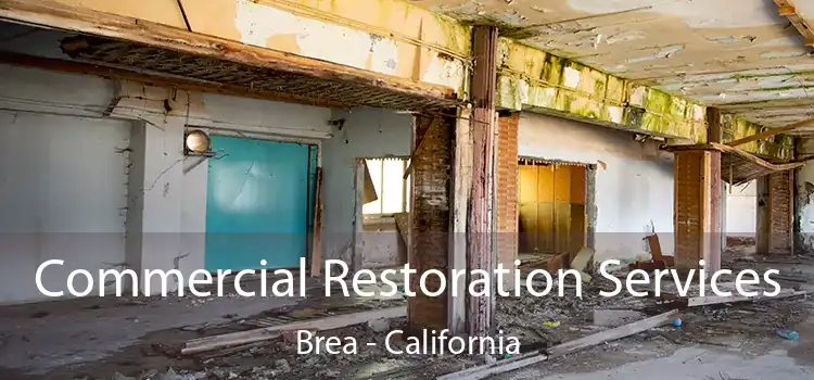 Commercial Restoration Services Brea - California