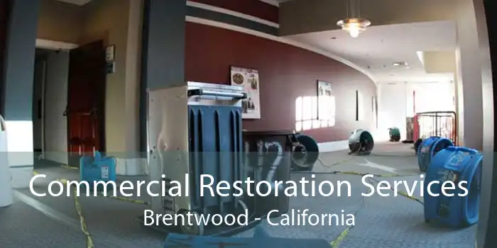 Commercial Restoration Services Brentwood - California