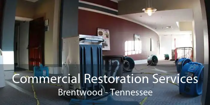 Commercial Restoration Services Brentwood - Tennessee