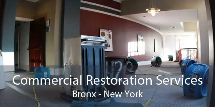 Commercial Restoration Services Bronx - New York