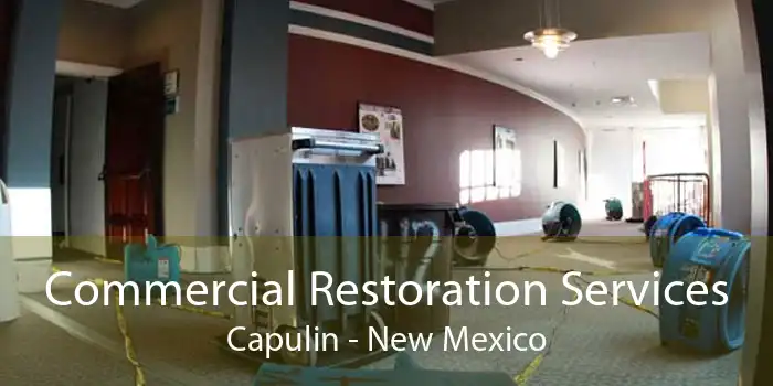 Commercial Restoration Services Capulin - New Mexico