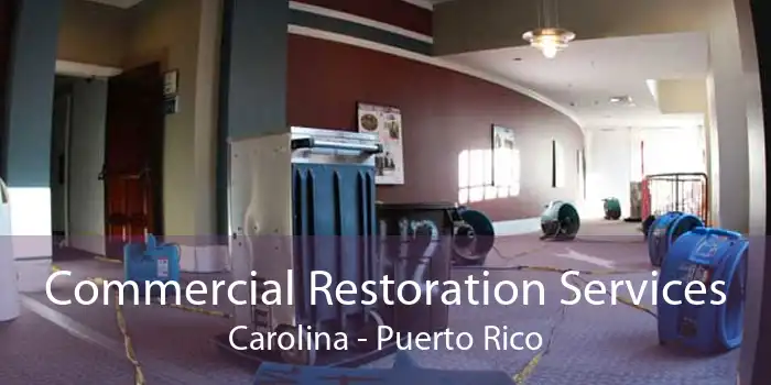 Commercial Restoration Services Carolina - Puerto Rico