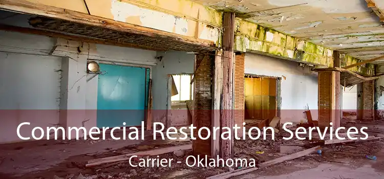 Commercial Restoration Services Carrier - Oklahoma