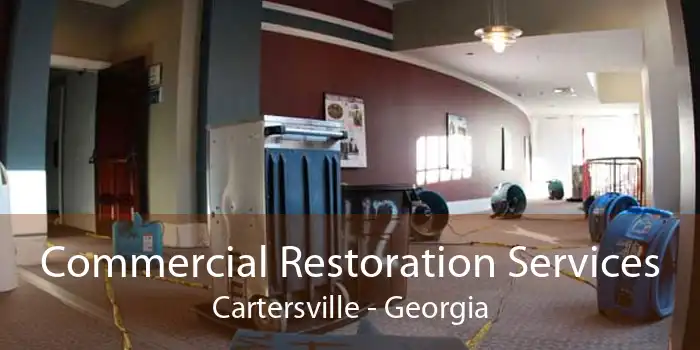Commercial Restoration Services Cartersville - Georgia